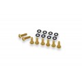 CNC Racing Billet Windscreen bolt kit for Ducati Panigale V4 (2025+) CNC Racing Billet Windscreen bolt kit for Ducati Panigale V4 (2025+)